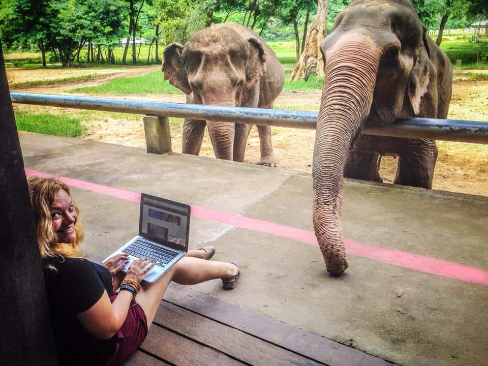 Elephant Nature Park in Thailand