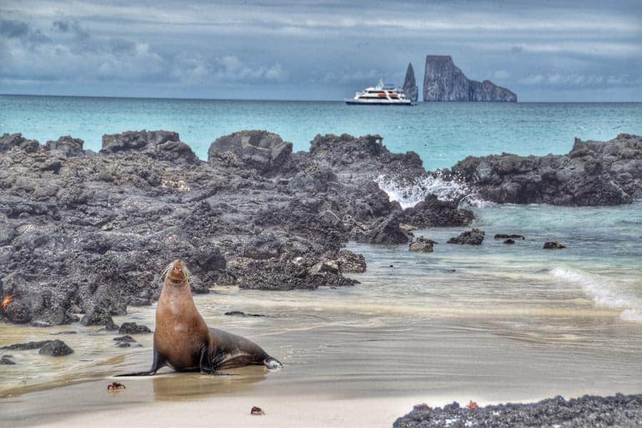 Snorkeling in the Galapagos Islands with Ecoventura