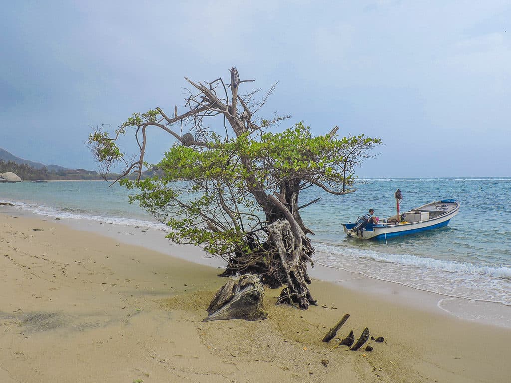 pascina-beach-i-tayrona-national-park-i-cololmbia_