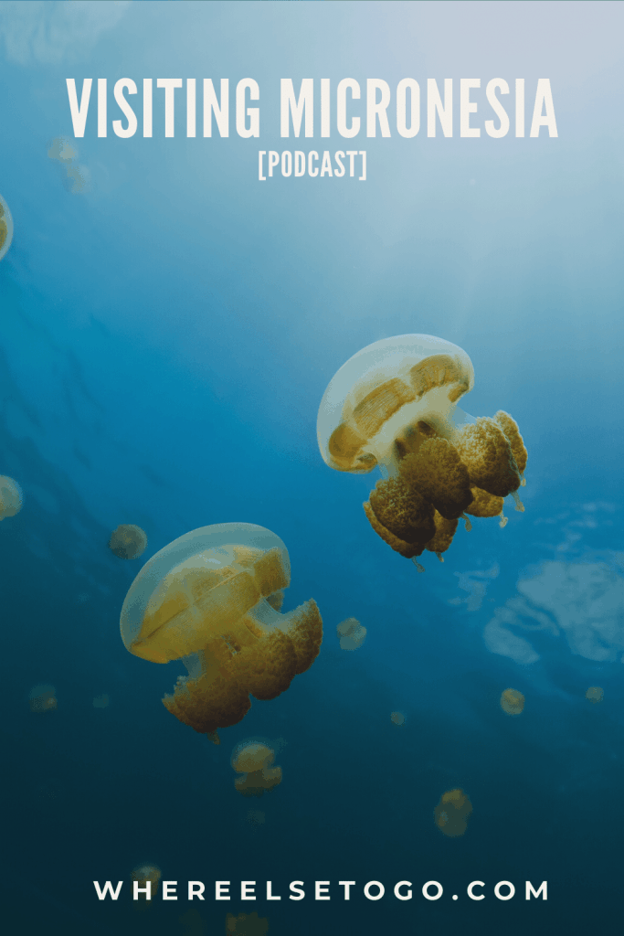 Visiting Micronesia, in general, refers to the opportunity to see thousands of small islands located in the Pacific and which comprise several countries. #micronesia #pacificocean #diving #whereelsetogo #adventuretravel #travel