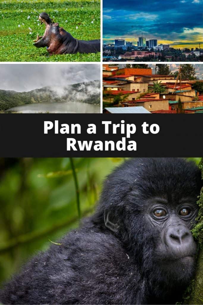 Rwanda is relatively off the beaten path for most American travelers, and there’s a lot of amazing ecotourism attractions beyond following Dian Fossey’s footsteps and trekking with gorillas in Volcanos National Park. #africa #rwanda #gorillas #nature #wildlife #whereelsetogo